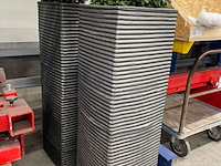 2x plantenbak met plant, antraciet