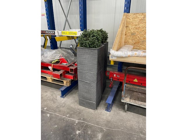 2x plantenbak met plant, antraciet - afbeelding 2 van  2