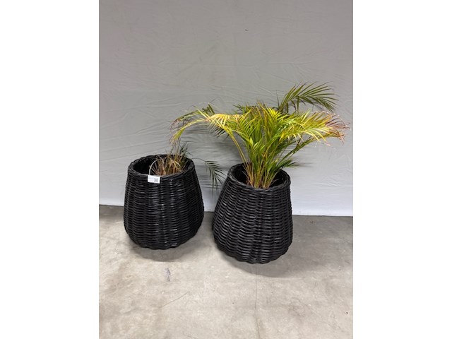 2x plantenbak, zwart - afbeelding 1 van  4