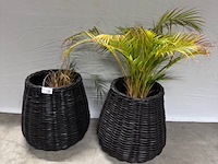 2x plantenbak, zwart - afbeelding 1 van  4