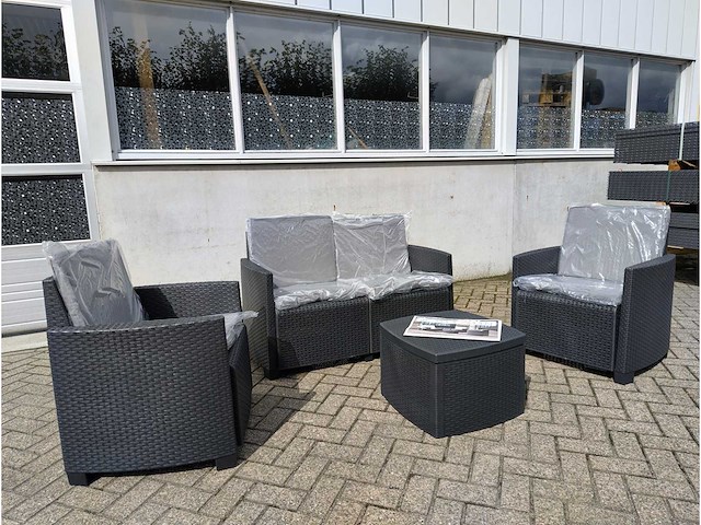 2x progarden 4 delig tuinset - afbeelding 1 van  12