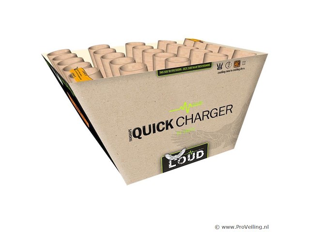 2x quick charger - afbeelding 1 van  1