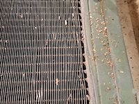 2x radiateur - afbeelding 9 van  10