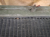 2x radiateur - afbeelding 8 van  11