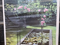 2x rozenboog, nature - afbeelding 7 van  9