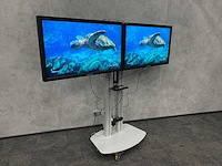 2x samsung 460mx-2 - 46" lcd flat panel display met statief