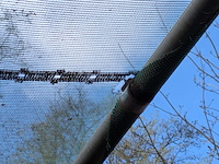 2x schaduw-/schermhal - afbeelding 2 van  18