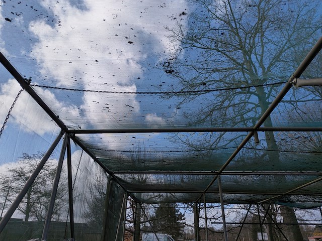 2x schaduw-/schermhal - afbeelding 8 van  18