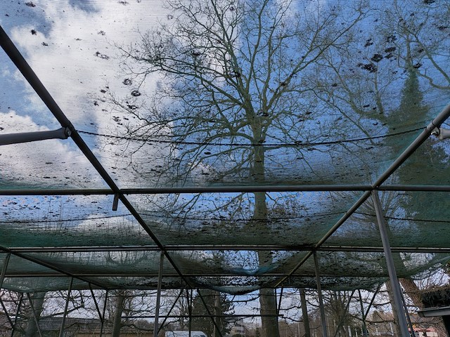 2x schaduw-/schermhal - afbeelding 9 van  18