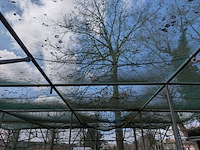 2x schaduw-/schermhal - afbeelding 9 van  18