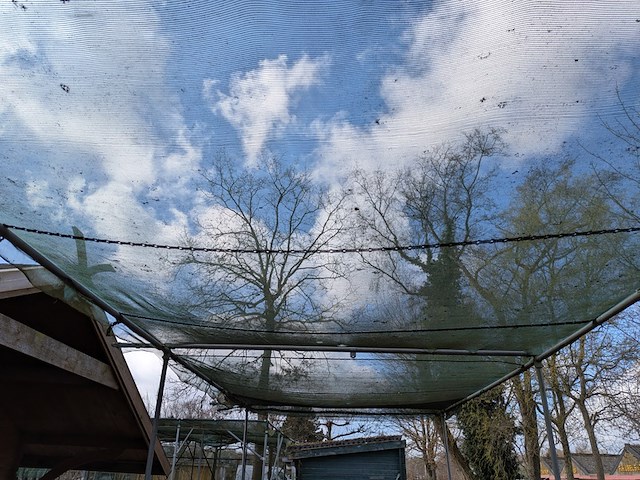 2x schaduw-/schermhal - afbeelding 17 van  18