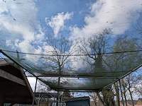 2x schaduw-/schermhal - afbeelding 17 van  18