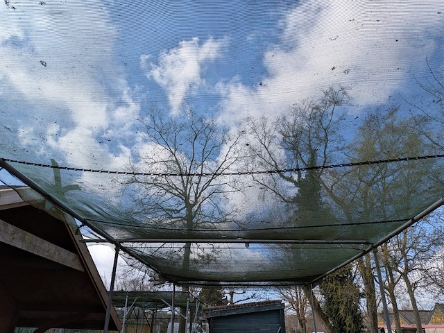 2x schaduw-/schermhal - afbeelding 18 van  18