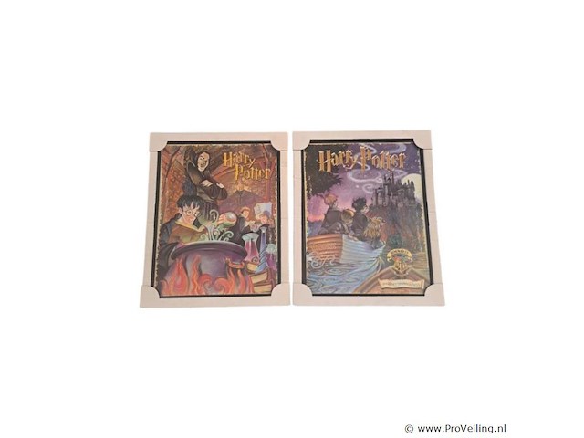2x schilderij harry potter - afbeelding 1 van  1