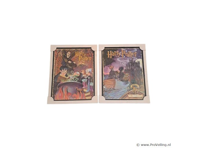 2x schilderij harry potter - afbeelding 1 van  1