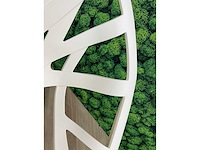 2x vitra vegetal - witte design kuipstoel - afbeelding 6 van  6