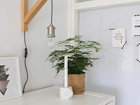 2x wandlamp met aan/uit schakelaar in snoer, mexlite, dion 7787be, beuken, 2026 - afbeelding 2 van  5