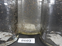 3 bubbel glazen vazen - afbeelding 4 van  5