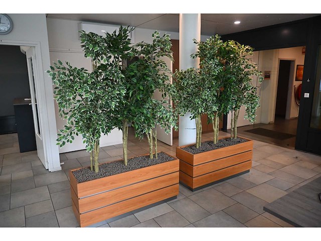 3-delige kunstplant roomdevider (3x) - afbeelding 2 van  5