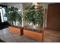 3-delige kunstplant roomdevider (3x) - afbeelding 4 van  5