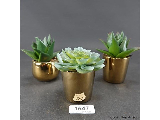 3 kunst cactussen in pot - afbeelding 1 van  5