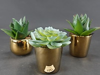 3 kunst cactussen in pot - afbeelding 1 van  5