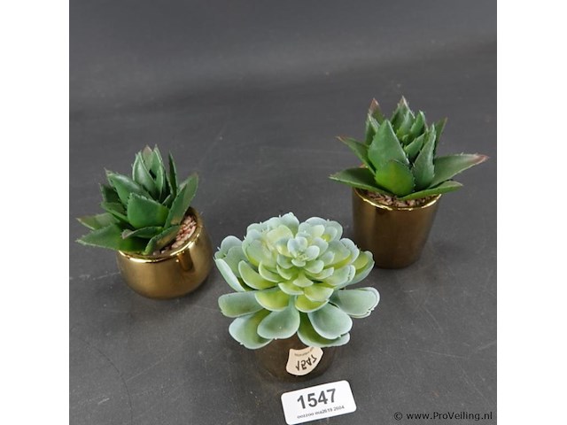 3 kunst cactussen in pot - afbeelding 2 van  5