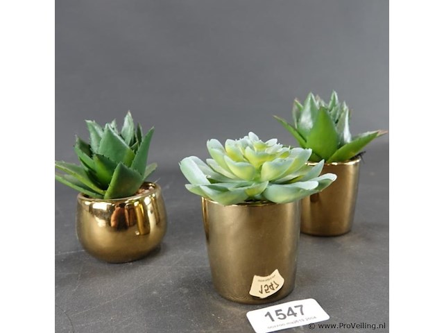3 kunst cactussen in pot - afbeelding 3 van  5