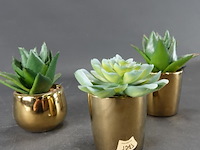 3 kunst cactussen in pot - afbeelding 3 van  5