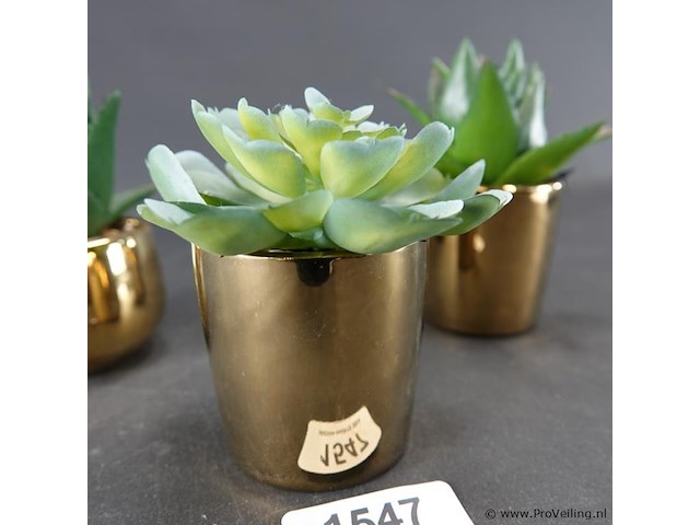 3 kunst cactussen in pot - afbeelding 4 van  5