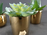 3 kunst cactussen in pot - afbeelding 4 van  5