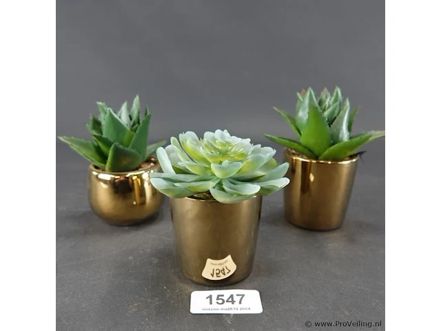 3 kunst cactussen in pot - afbeelding 1 van  5