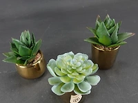 3 kunst cactussen in pot - afbeelding 2 van  5