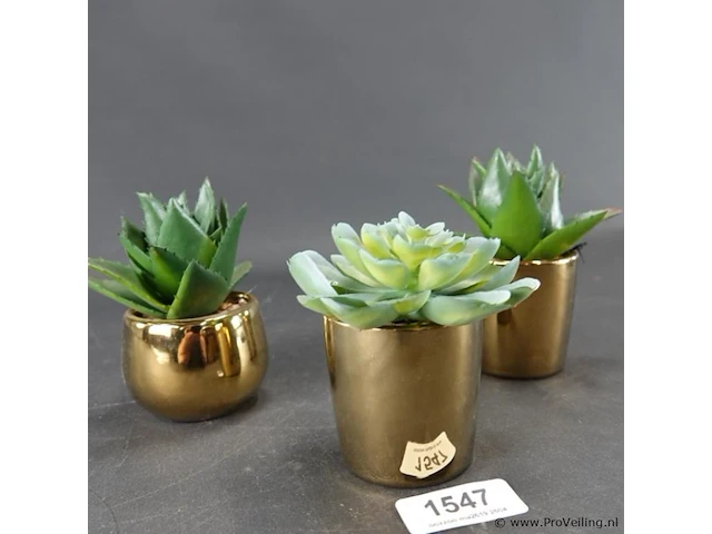 3 kunst cactussen in pot - afbeelding 3 van  5