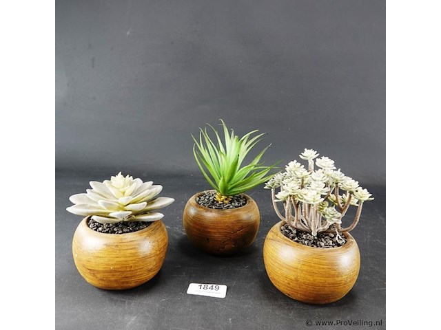 3 kunstcactussen in pot - afbeelding 1 van  5