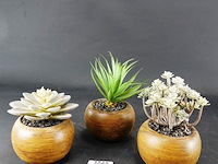3 kunstcactussen in pot - afbeelding 1 van  5