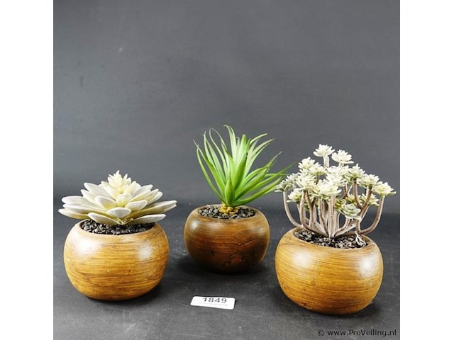 3 kunstcactussen in pot - afbeelding 2 van  5