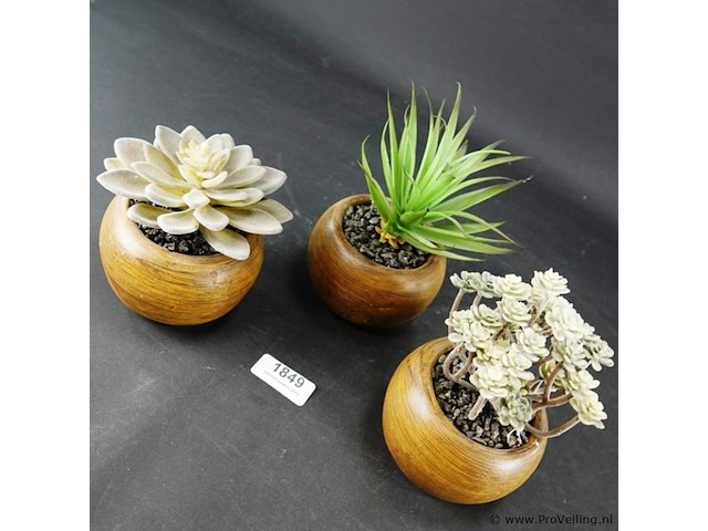 3 kunstcactussen in pot - afbeelding 3 van  5