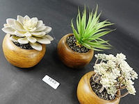 3 kunstcactussen in pot - afbeelding 3 van  5