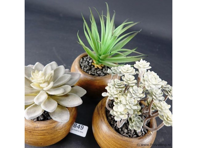 3 kunstcactussen in pot - afbeelding 4 van  5