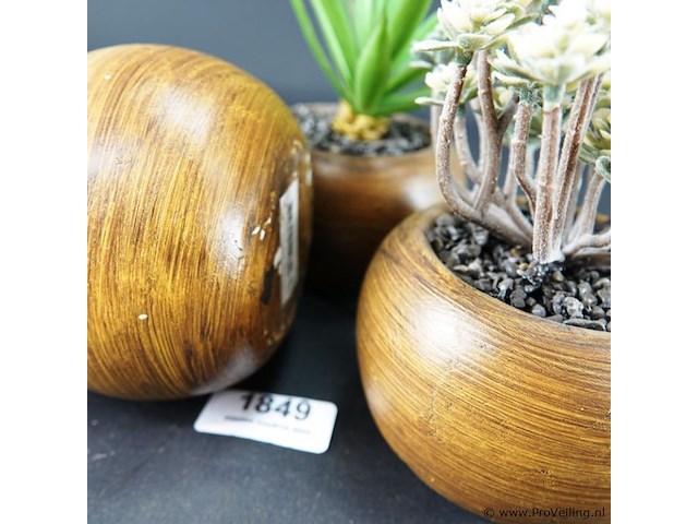 3 kunstcactussen in pot - afbeelding 5 van  5