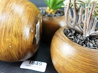 3 kunstcactussen in pot - afbeelding 5 van  5