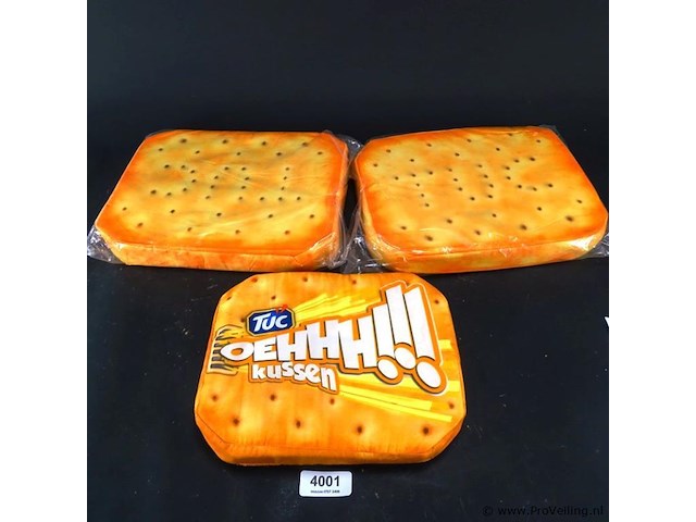 3 oranje zitkussens - afbeelding 1 van  3