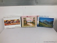 3 puzzels - afbeelding 1 van  1