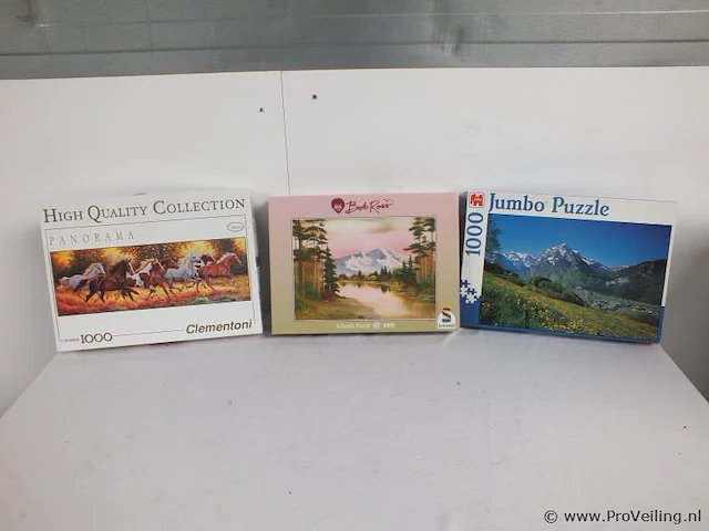 3 puzzels - afbeelding 1 van  1