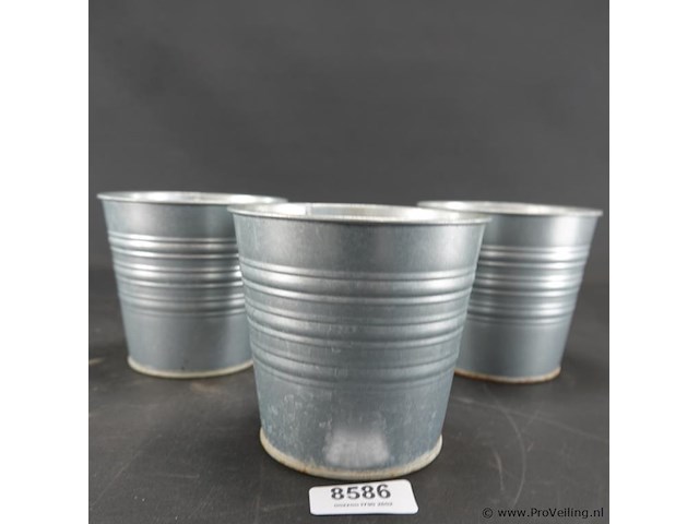3 zinken bloempotten - afbeelding 2 van  5