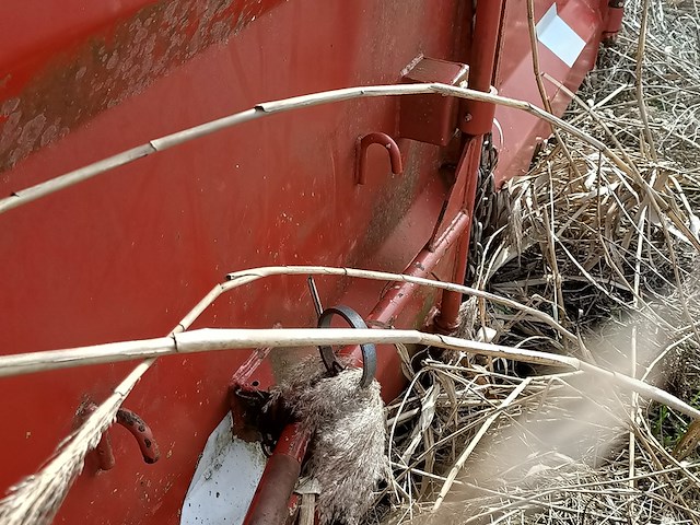 39 m³ haakarm afzetcontainer, ktk, 2017 - afbeelding 4 van  7