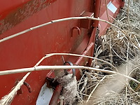 39 m³ haakarm afzetcontainer, ktk, 2017 - afbeelding 4 van  7