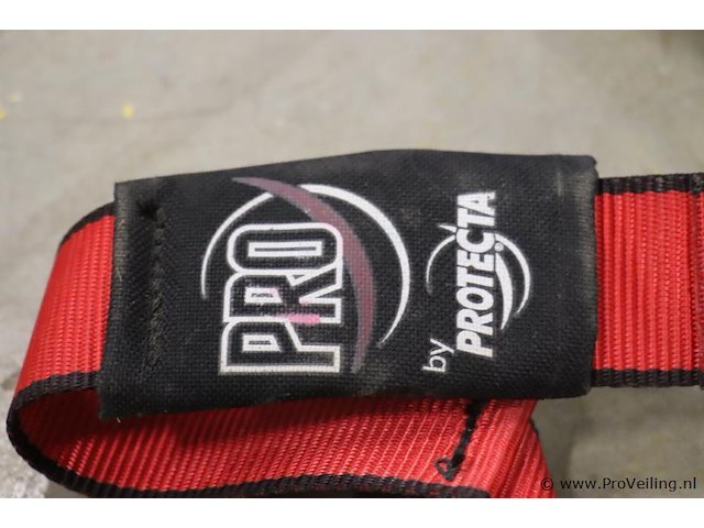 3m pro valbeveiligingsharnas - afbeelding 5 van  5