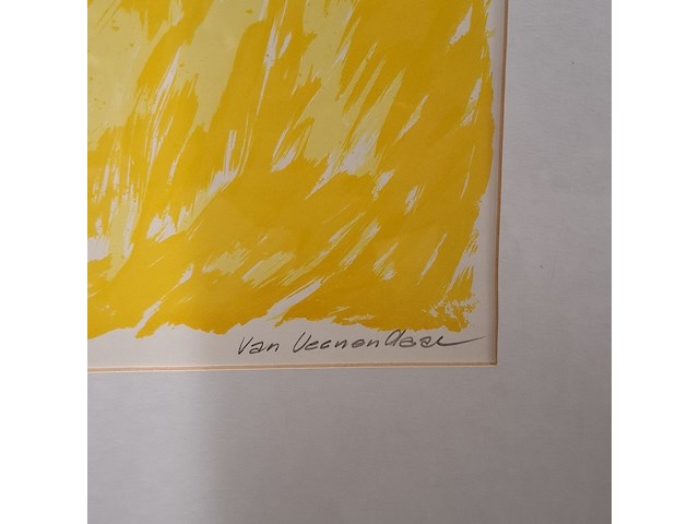 3x afbeelding in lijst o.a van veenendaal - afbeelding 8 van  10